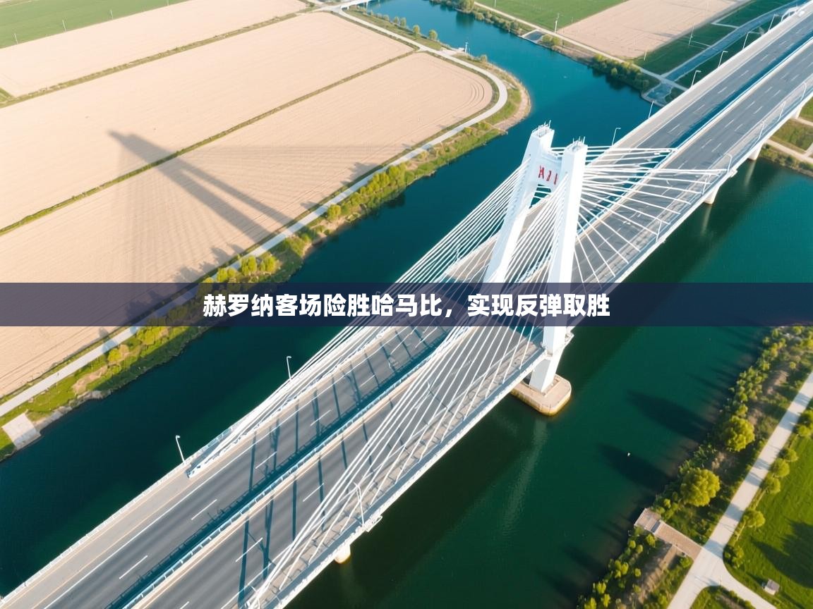 赫罗纳客场险胜哈马比，实现反弹取胜  第2张