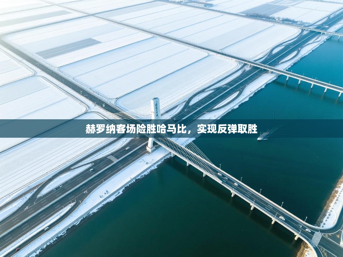 赫罗纳客场险胜哈马比，实现反弹取胜  第1张