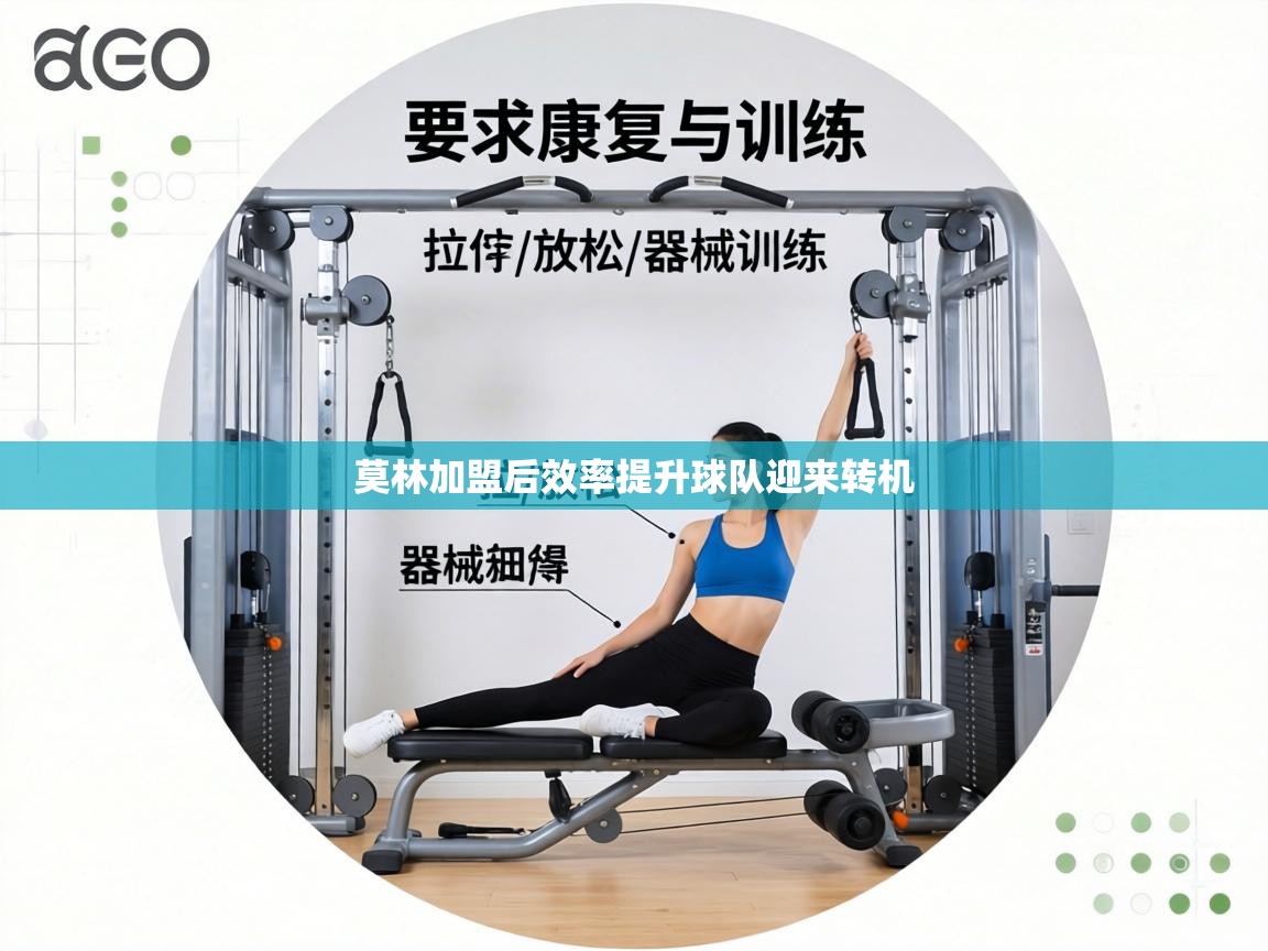 莫林加盟后效率提升球队迎来转机